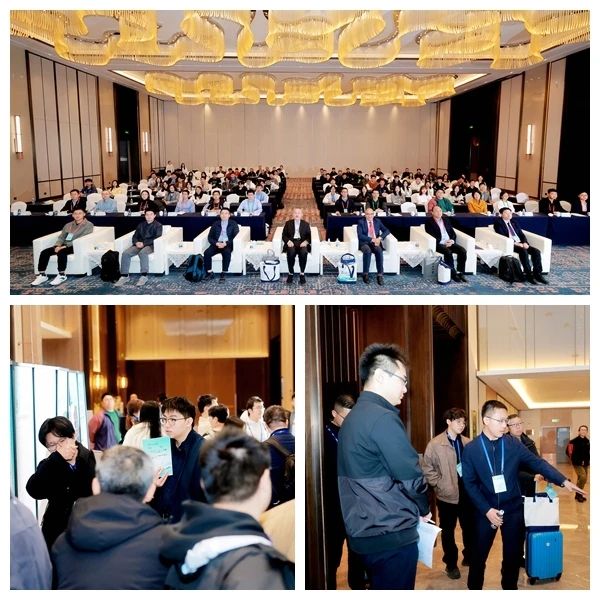 能源与电气工程研讨会(AEEES 2025)在成都顺利召开！