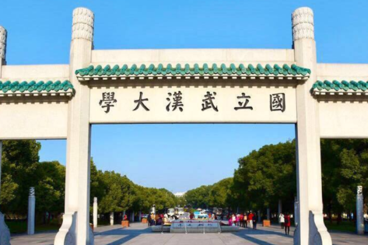 新晋“85后”国家杰青，加盟武汉大学