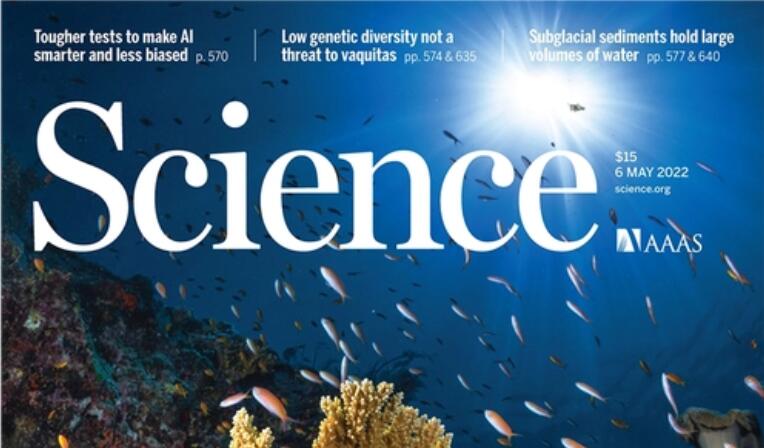 scie期刊是什么级别的