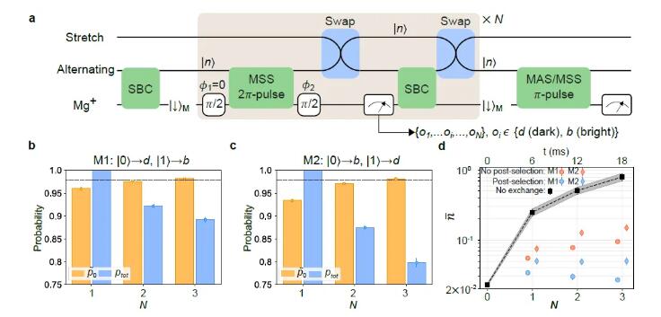 清华大学-离子量子计算 | Nature Physics