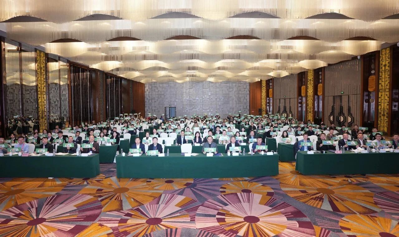 第九届能源与环境科学国际会议 (ICEES 2025)在重庆召开！