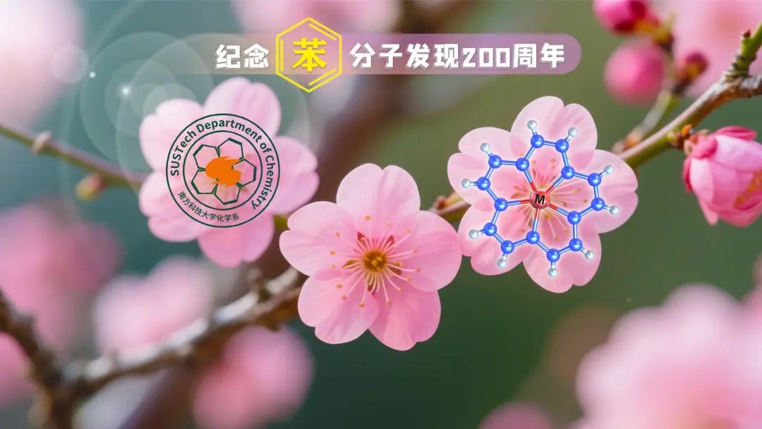 南方科技大学重磅Nature：填补领域长达70余年空白！