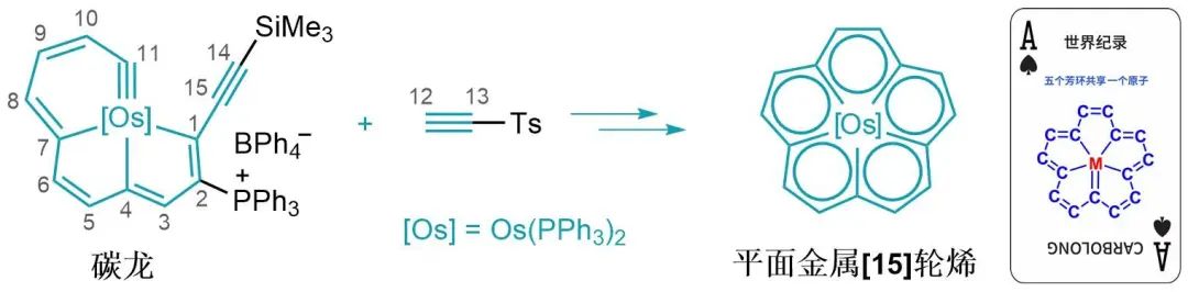 南方科技大学重磅Nature：填补领域长达70余年空白！