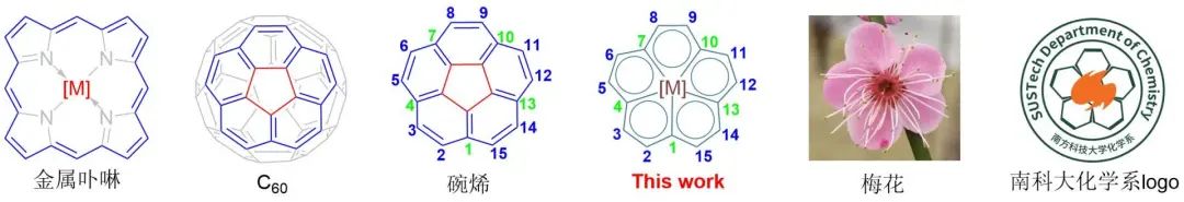 南方科技大学重磅Nature：填补领域长达70余年空白！