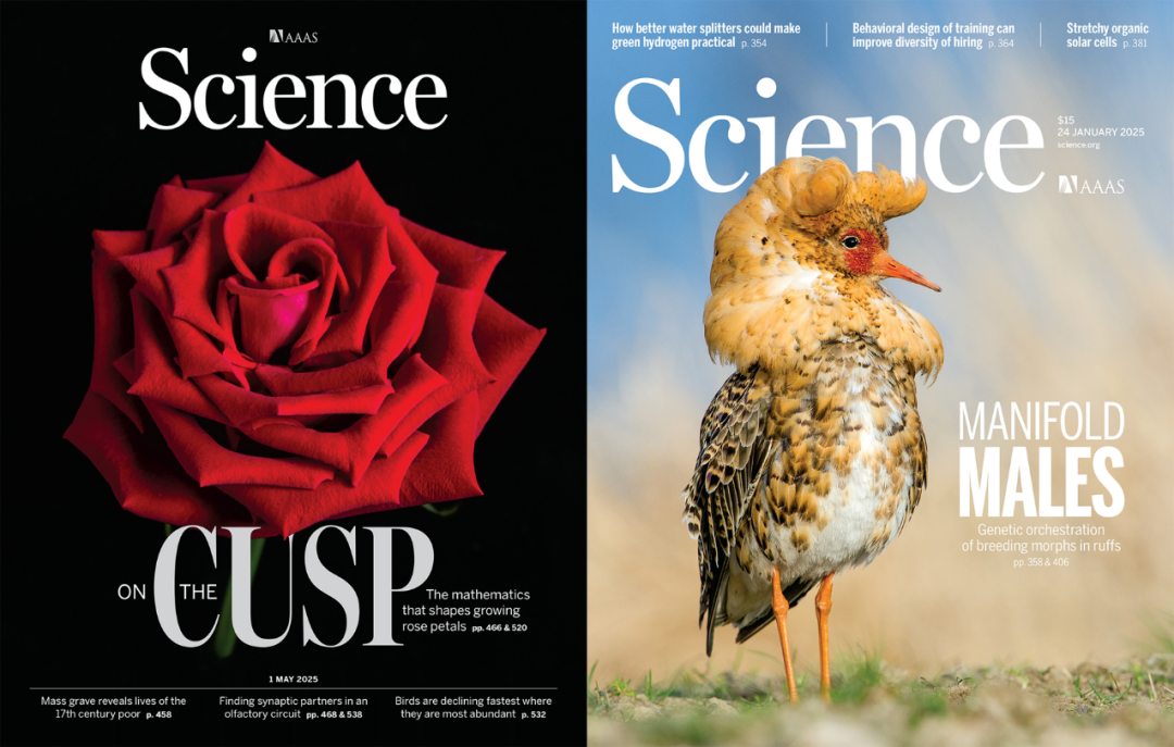 Science期刊，11年来首次改版