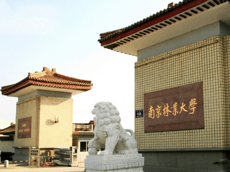 “80后”国家杰青，任“双一流”大学副校长