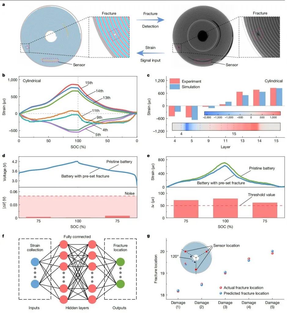 北京理工大学最新Nature！