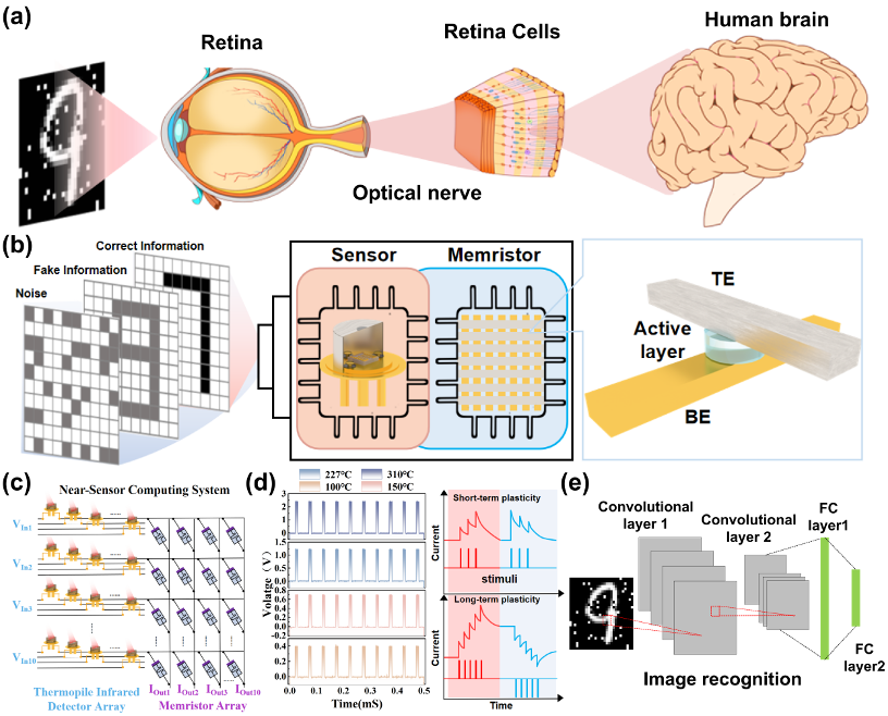 山东大学王天宇、中北雷程Nano Letters:基于忆阻器的红外传感神经形态计算系统，近传感计算实现数据信息加密