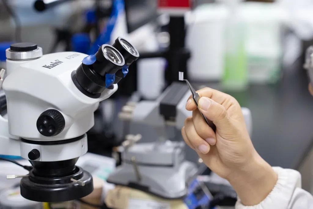 Science重磅：全球首例！复旦科学家团队通过脑机接口，使失明动物恢复视觉能力