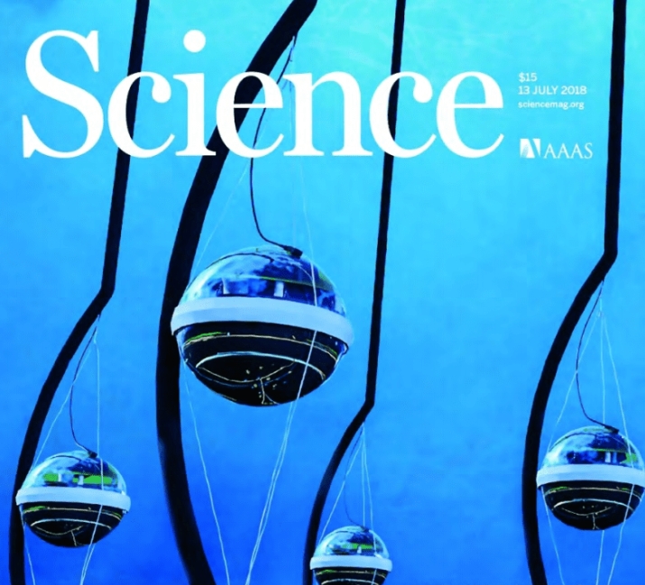上海科技大学某研究员，因不当行为被《Science》除名