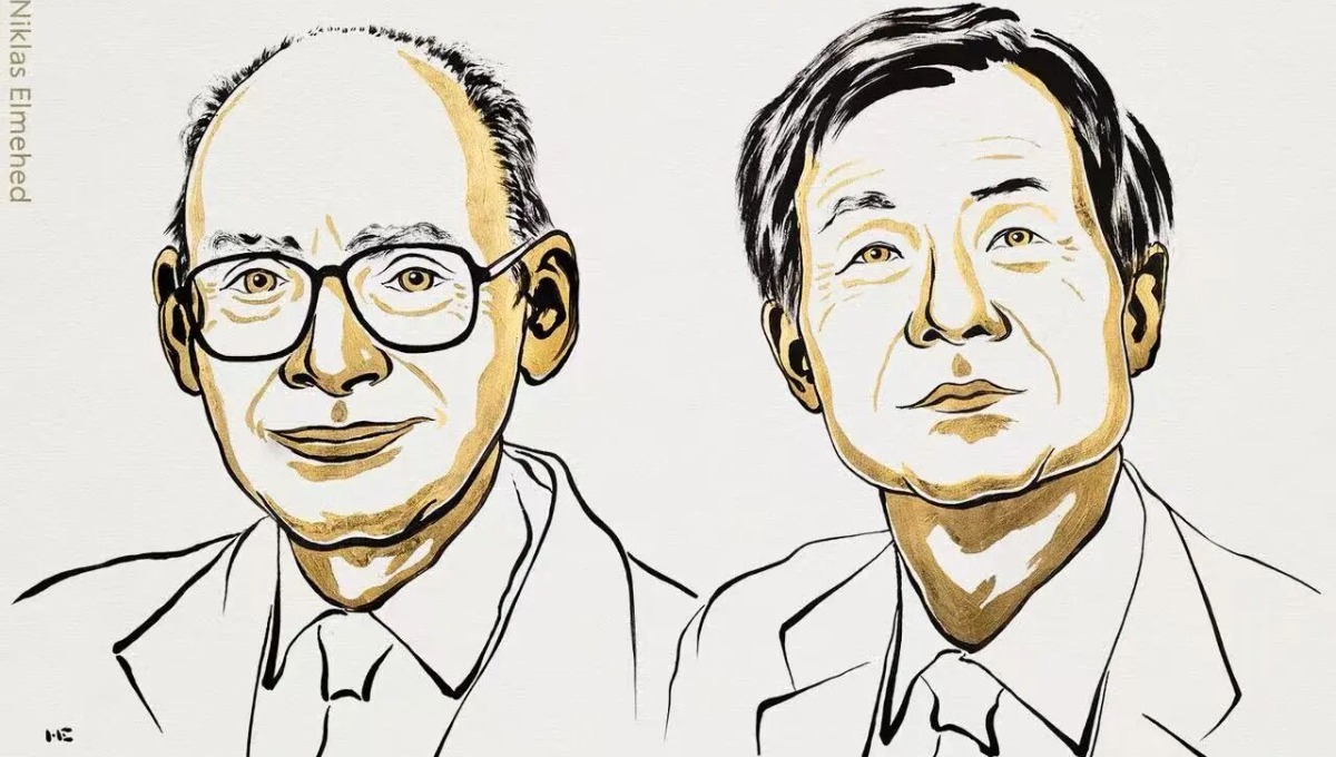 2026年诺贝尔化学奖揭晓！